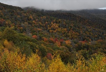 Great Smoky Mountains National Park